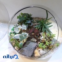 مزون عروس ارکیده