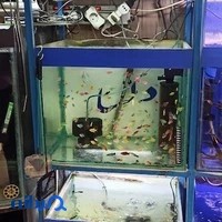 آکواریوم دلسا