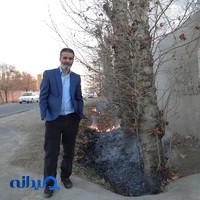 فست فود کاپیتان