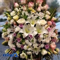 گلزار طلا