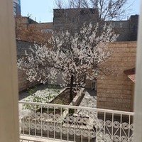 رایا پارس