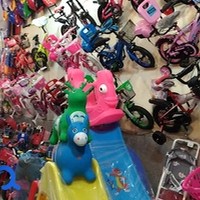 ماشین شارژی پردیس