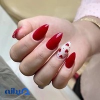 ناخنکار پروین پورمند