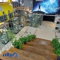طلا سازی شیری