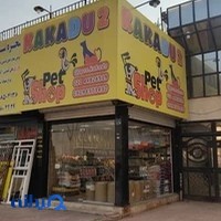 Pet shop kakadu