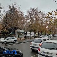 گلفروشی گلکده نیاوران