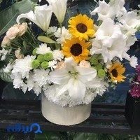 گل فروشی رزماری اکباتان