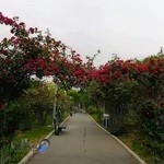 بوستان الهام