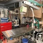 درمانگاه دامپزشکی دکتر مشیری