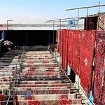 قالیشویی عباس آباد