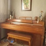 گالری پیانو درسا