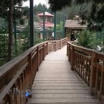 گروه موسیقی فروهر