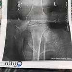 آکادمی بولدبروز کتایون محمودی