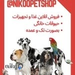 پت شاپ نیکو