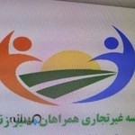 موسسه همراهان مسیر زندگی