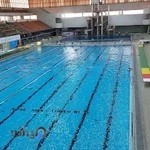استخر قهرمانی آزادی