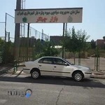 خدمات فنی شاهی