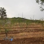 پیست دوچرخه سواری چیتگر