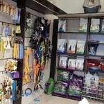 lazypet پتشاپ لیزی پت