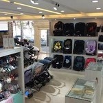 سیسمونی کاج