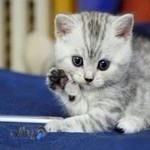 اتاق فرار جن گیر