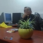 مرکز مشاوره و استعداد یابی پایا ، تهران