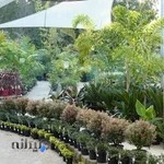 مجموعه گل و گیاه گاردن گرین