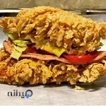 (zaza fastfood) فست فود زازا