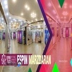 باشگاه ژیمناستیک اسپین