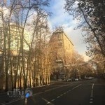 دکتر آرمیتا کیافر