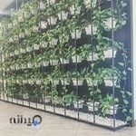 آموزشگاه موسیقی پارس پلاس