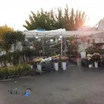 گل فروشی ولنجک