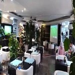 کافه عربی لیالی ونک