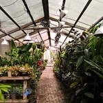 گلخانه بیلوبا