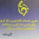 قالیشویی نگار