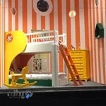 سرویس خواب کودک بلسینو