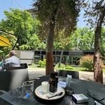 آريانا آرت كافه