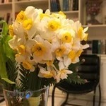 مطب دکتر مرجان احمدی