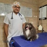 کلینیک دامپزشکی دکتر رزم آرا