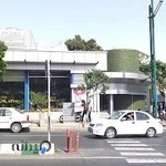 گل های زعیم