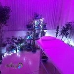 Massage Center Abshar