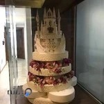 موسسه فرهنگی هنری سانازسانیا