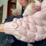 پرادا (کیف و کفش)