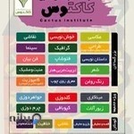 موسسه فرهنگی هنری کاکتوس