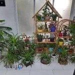 آکادمی هنر طهورا