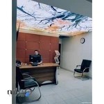 سقف کشسان | نپواسکای