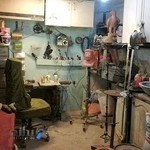 مجسمه‌سازی پویا