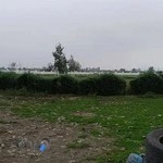 باشگاه سوارکاری کاسپین آمل