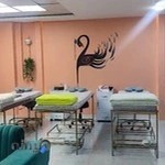 آکادمی مژه الناز غلامی