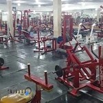 باشگاه بوکس کلی